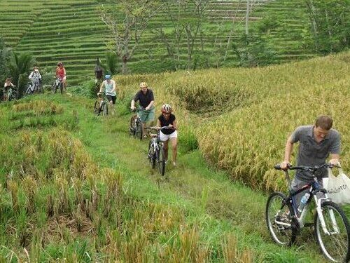 Borobudur Cycling Tour