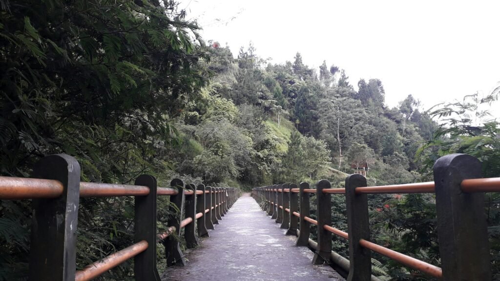 ake widyastomo wA2qleau5hE unsplash - Embarking on Mount Merapi Hike from Yogyakarta City Center ! - Goajomblang.com