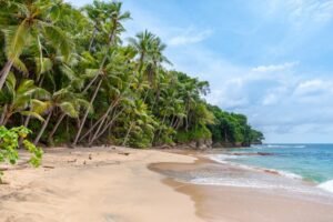 Exploring Wediombo Beach: Serene Shores and Stunning Sunsets