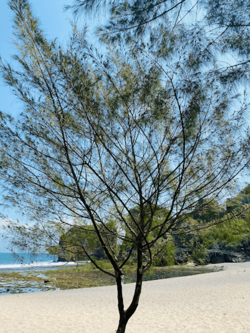 Siung beach in Yogyakarta