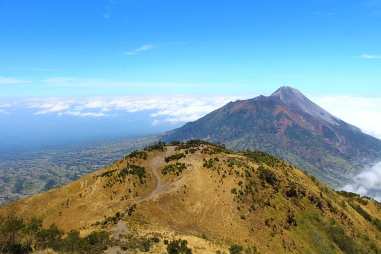 sabana merbabu - Hiking Mount Merbabu from Yogyakarta: A Friendly Guide for Foreign Travelers - Goajomblang.com