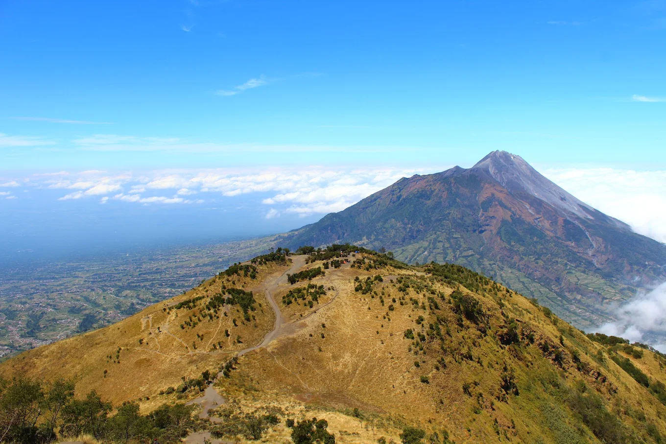 sabana merbabu - Hiking Mount Merbabu from Yogyakarta: A Friendly Guide for Foreign Travelers - Goajomblang.com