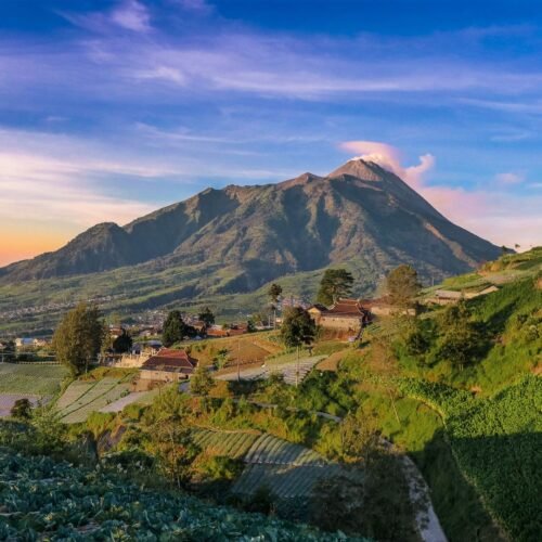 Mount Merbabu Trekking and Overnight Camping 2 Days 1 Night