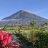 Mount Sumbing Sunrise Trekking (2 Days 1 Night, No Camping)